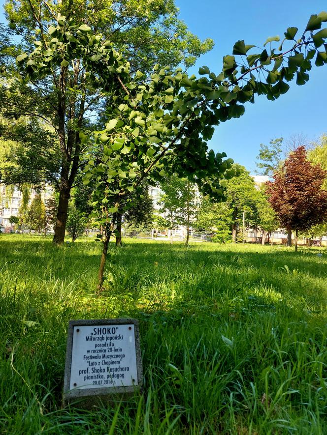 Zachwycająca przyroda i miejsca w Busku-Zdroju