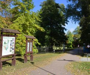 Zobacz jak wygląda największy park miejski w Polsce