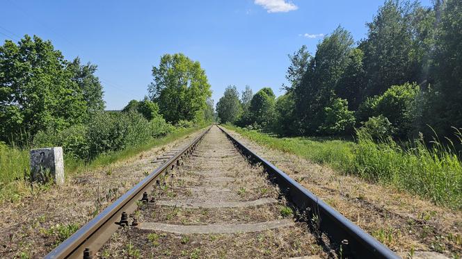 Było, zniknęło i... powróciło. Zobacz magiczne jezioro Track na obrzeżach Olsztyna [ZDJĘCIA]