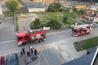 Lubelskie: Pożar kuchni w bloku. Strażacy wynieśli kota z zadymionego mieszkania