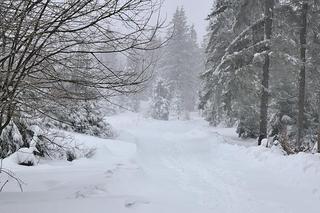 Ruda Śląska: Trwa „akcja zima”