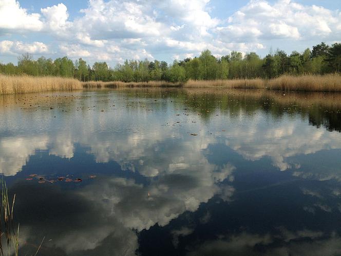 Mazowiecki Park Krajobrazowy
