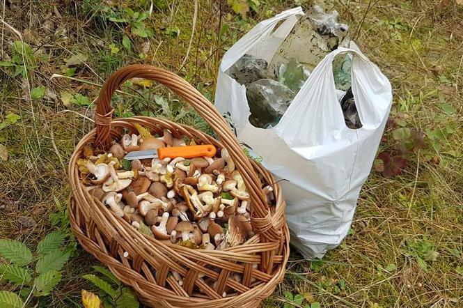 Świetokrzyscy grzybiarze z lasu wynoszą nie tylko grzyby