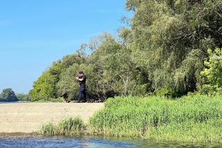 Działania służb na Wiśle w Toruniu. Straż, policja, strażnicy miejscy i grupa poszukiwawcza w akcji