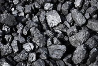 Gdzie kupić węgiel na zimę? Polacy kupują w Czechach! Taniej niż w PGG i kopalni