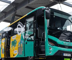 Nowa wakacyjna linia autobusowa na Podlasiu! Za 8 zł odwiedzisz najważniejsze atrakcje regionu