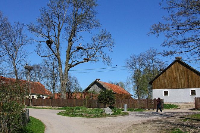 Wieś Żywkowo – bociania stolica Polski