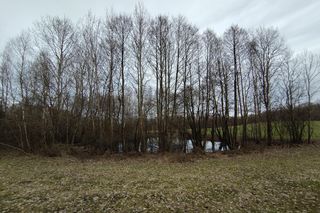 Okolice wioski czarownic na Kaszubach. Tu grasowały czarownice! 