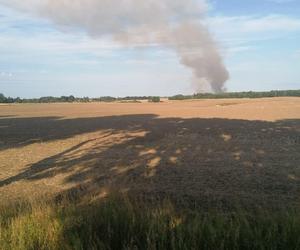 Dwa pożary zboża oraz rżyska w powiecie braniewskim