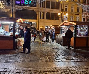 Otwarcie Jarmarku Bożonarodzeniowego 2024 we Wrocławiu