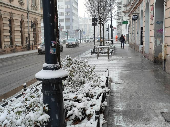 Zima w Łodzi. Jak wygląda sytuacja na drogach?