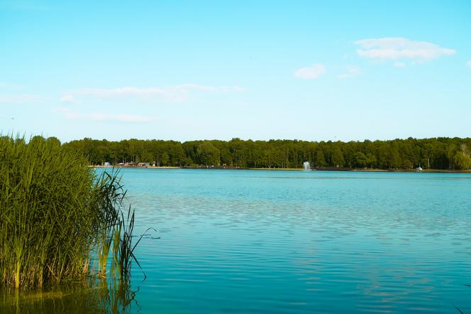 Jezioro Paprocańskie w Tychach. Idylliczne miejsce dla miłośników przyrody [ZDJĘCIA]