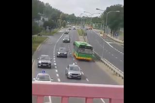 Autobus MPK Poznań jechał pod prąd! Kierująca pomyliła trasę?!