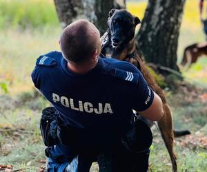 Trawka - nowy pies suwalskiej Policji