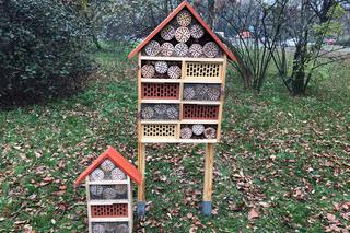 Łódź stawia ekologiczne domki dla ptaków i owadów! 