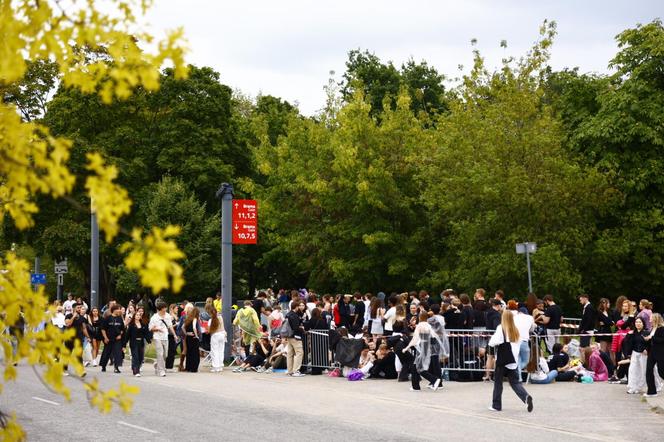 Koncert The Weeknd w Warszawie. Zdjęcia spod PGE Narodowego