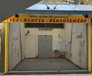 Lehel Market w Budapeszcie