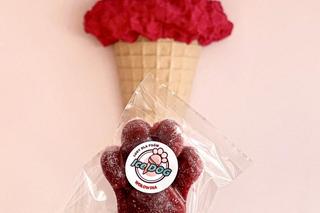 Ice dogi w sprzedaży. Można kupić je w Tarnowskich Górach