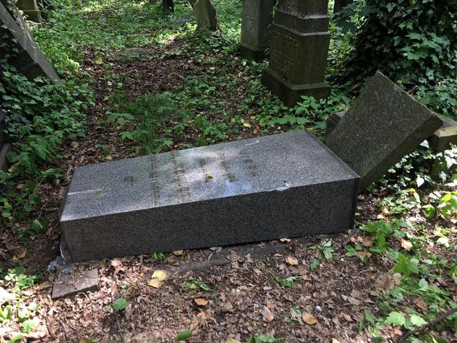 Wandale zdewastowali nagrobki na cmentarzu żydowskim w Zabrzu