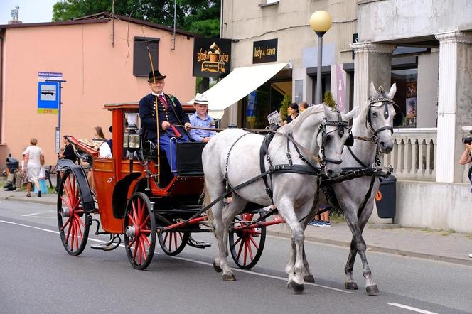 Święto plonów w katowickim Podlesiu. Katowickie dożynki na zakończenie wakacji