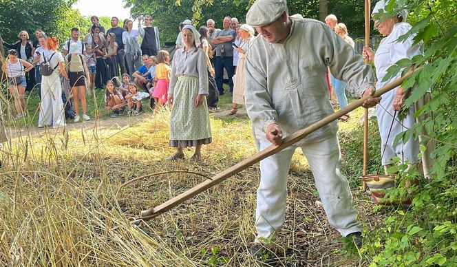W Skansenie odbyły się retro żniwa, żęto żyto metodami pradziadków