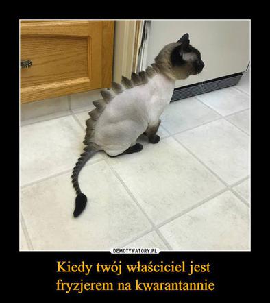 Fryzjerzy kontra koronawirus. Te memy bawią do łez
