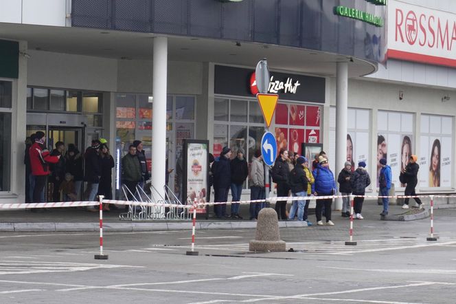 Katarzynki 2024 - wystawa autobusów przy Galerii Panorama