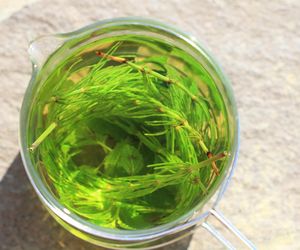 Wrzuć do kubka i zalej gorącą wodą. Podziękujesz sobie, gdy staniesz przed lustrem