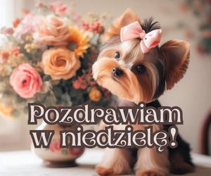 Dzień dobry w niedzielę! Fajne obrazki do wysłania znajomym