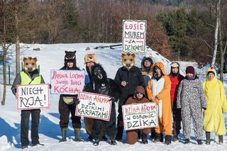 Goryl z kurczakiem przegnali myśliwych