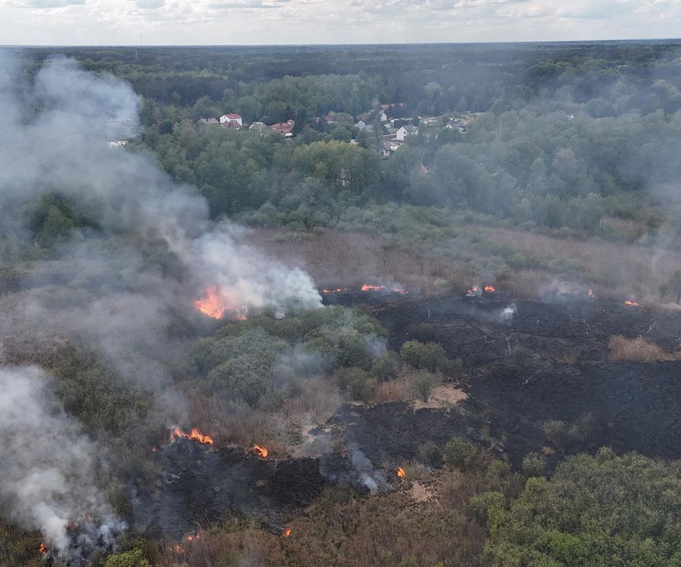 Wołomin: Płonie Natura 2000. Dym widać z wielu kilometrów