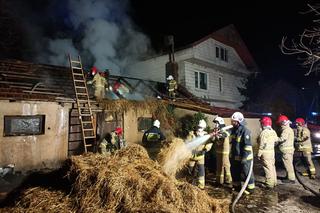 Nocny pożar w gminie Łagów pod Kielcami. W budynku były krowy!