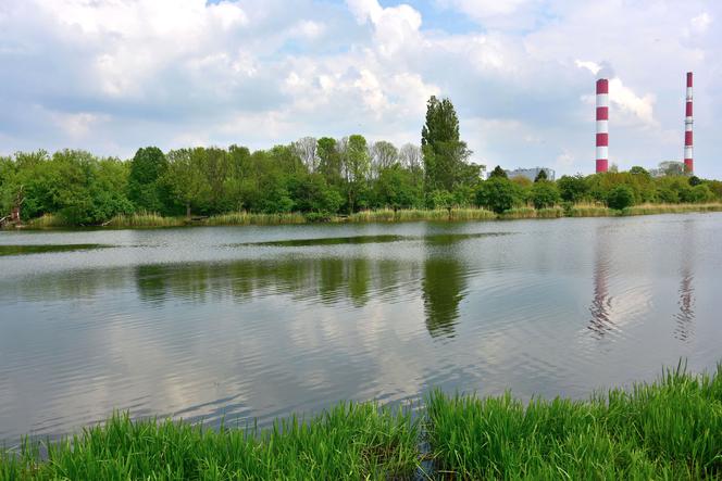   Gigantyczny rurociąg może uratować wysychające Jezioro Czerniakowskie