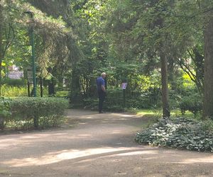 Letni spacer w zielonym sercu Bydgoszczy. Ogród Botaniczny UKW zaprasza!