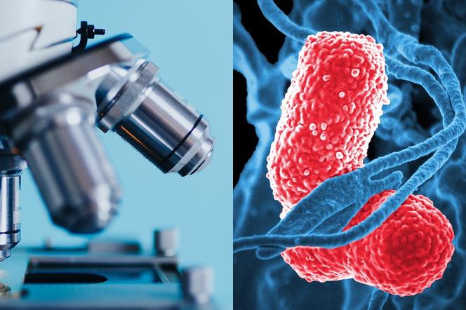 W łódzkim szpitalu wykryto bakterię New Delhi