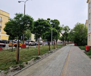 Budowa ścieżek rowerowych na osiedlu Leśnym w Bydgoszczy 