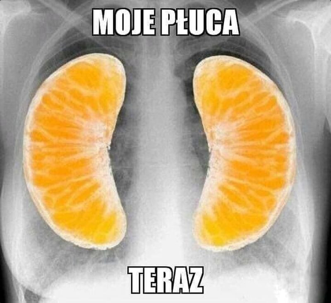 To na pewno usłyszysz przy Wigilijnym stole. Te teksty są kultowe podczas świąt [MEMY]