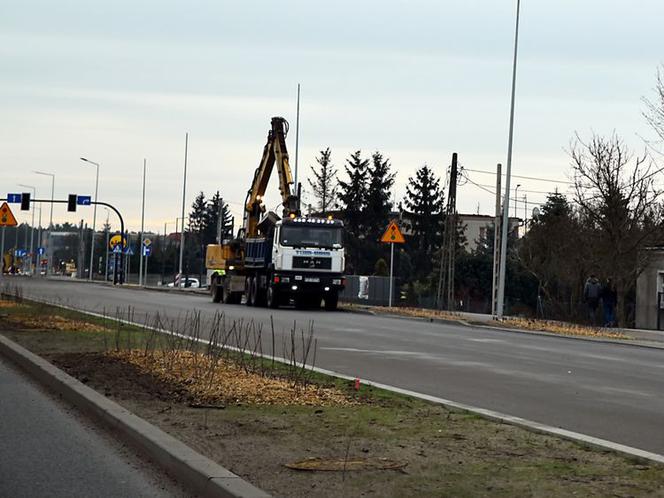 Rozbudowa ul. Grunwaldzkiej. Będą nowe drzewa i krzewy