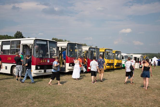 Zlot zabytkowych ikarusów w Katowicach