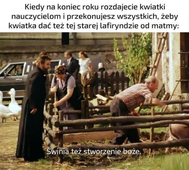Zakończenie roku szkolnego - memy