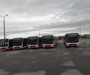 Do Radomia trafiły nowe autobusy