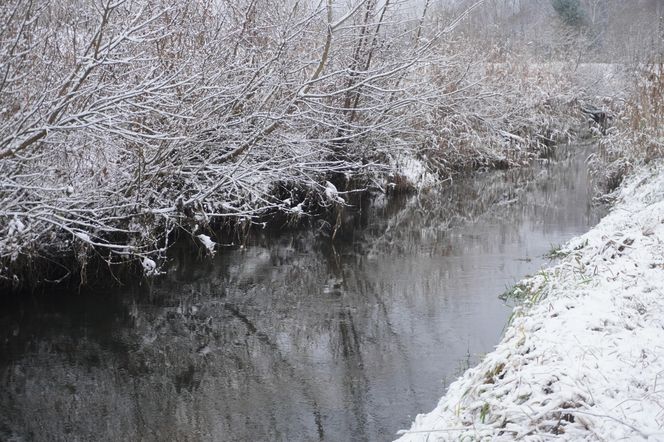 Zima w Świętokrzyskiem. Skarżysko-Kamienna (22.11.2024)