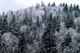 Pierwszy zimowy weekend w Bieszczadach