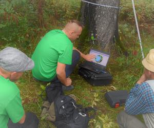 Radomscy leśnicy znów w Gruzji. Trwa kolejny etap ratowania zabytkowego dendrarium 