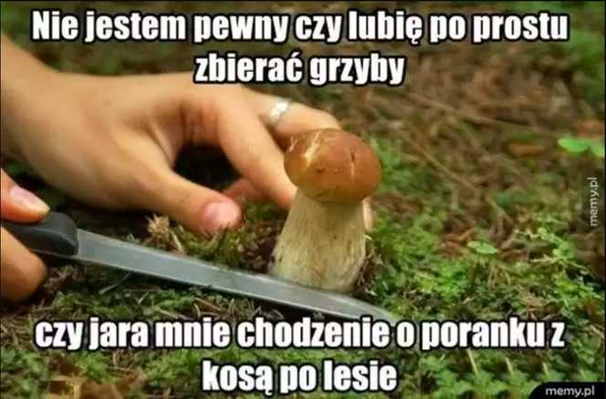Nóż się w kieszeni otwiera i Janusz i szykuje się na grzyby! MEMY o grzybobraniu [GALERIA]