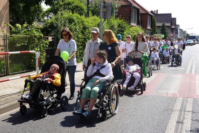 Dni Rybnika 2025. Kolorowa parada ulicami miasta, koncerty i seniorada