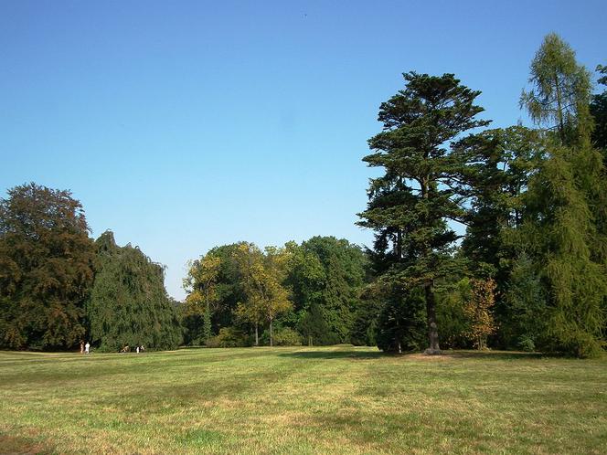 Park Szczytnicki