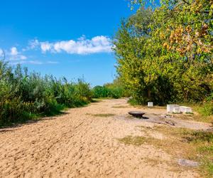 Plaża przy Moście Północnym