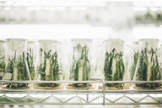 Noc Biologów na Wydziale Medycznym KUL: Woda to dar życia dla całej Ziemi 