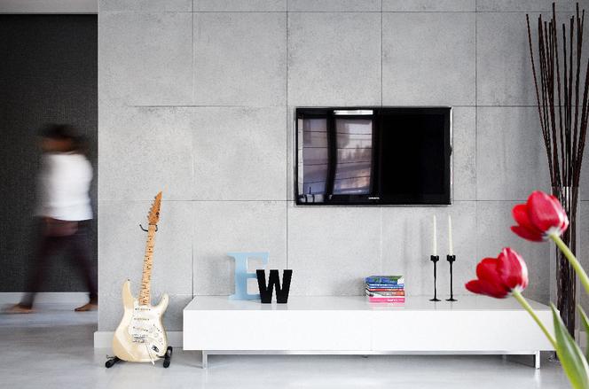 nowoczesny salon ściana z tv